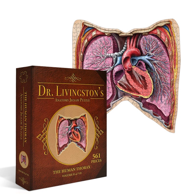 Genius Games Human Thorax Anatomy Puzzle - Adult Jigsaw Puzzles Unique Gifts for Kids, Nurses, Doctors, Medical Students, Educational Science - 411 Piece Teen Floor Puzzle - Genius Games Dr. Livingston Body Model - Image 1